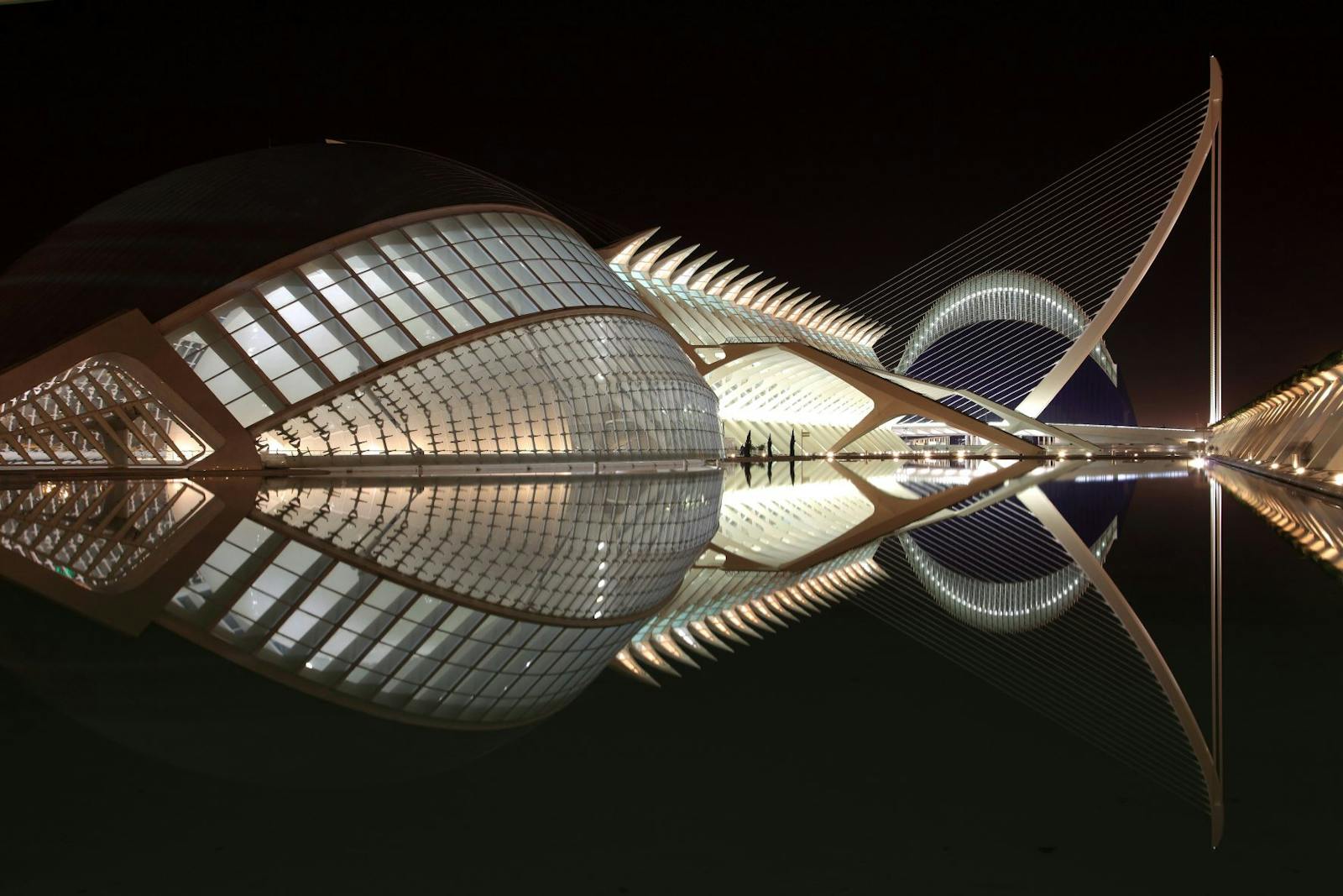 Symmetrinen yökuva Oceanogràfic Valenciasta