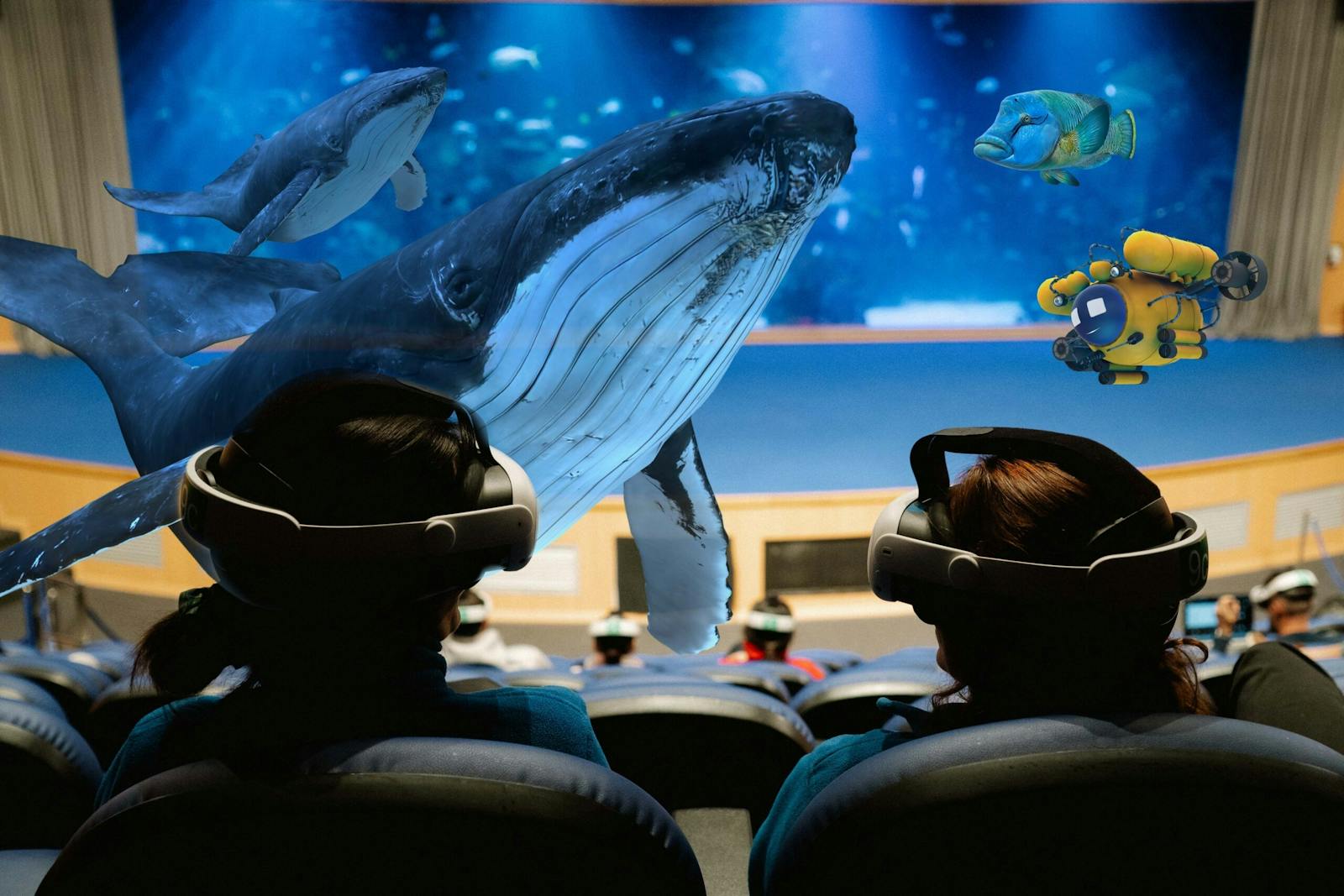 VR-látogatók bálnákat figyelnek az Oceanogràfic Valenciában
