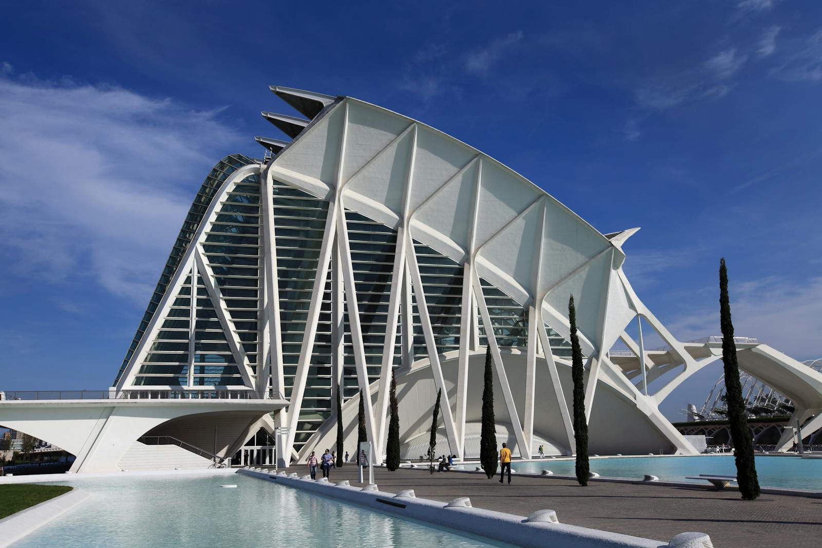 青空の下からのバルセロナ海洋館（Oceanogràfic Valencia）の低い角度からの眺望